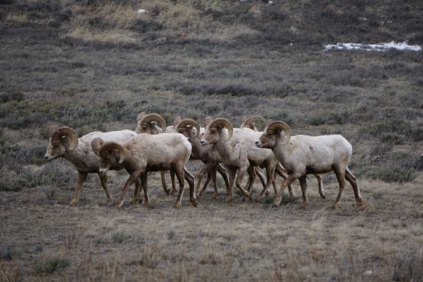 The Hole Hiking Experience by null