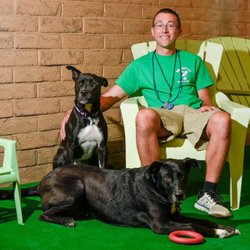 Dog Country Daycare - Manager and Head Trainer Steve Ploetz