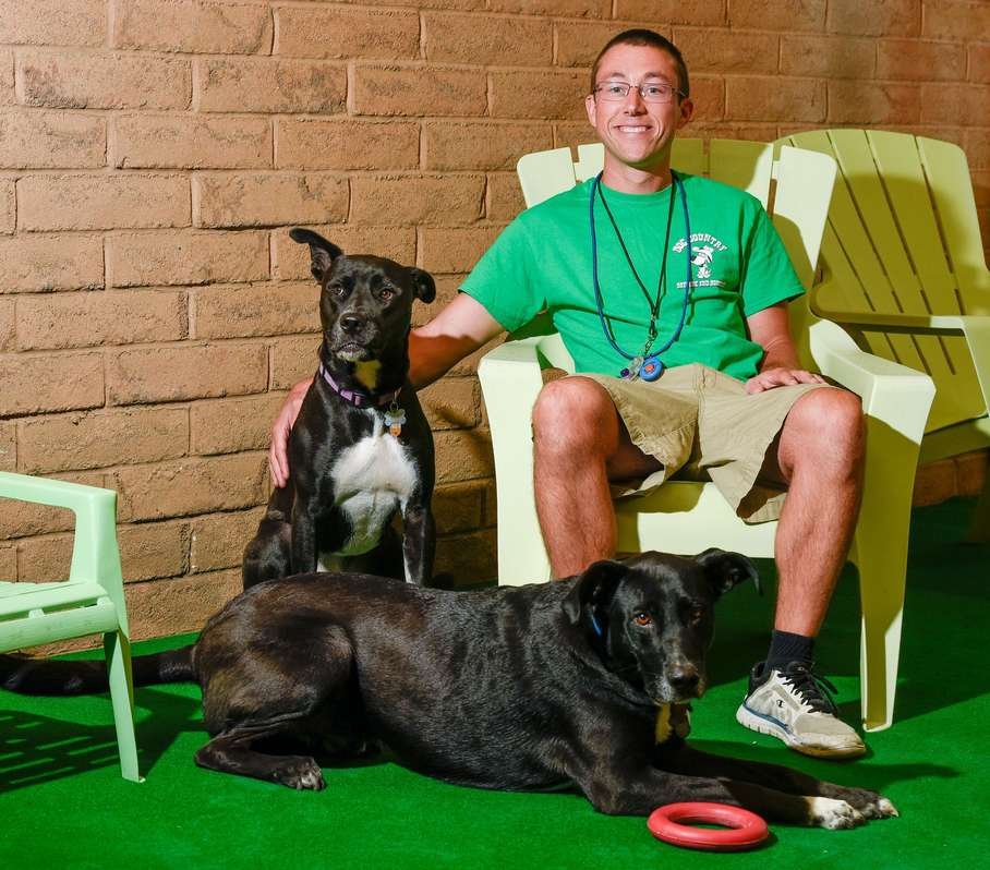 DOG COUNTRY DAYCARE Updated October 2024 3983 Hamilton Middletown