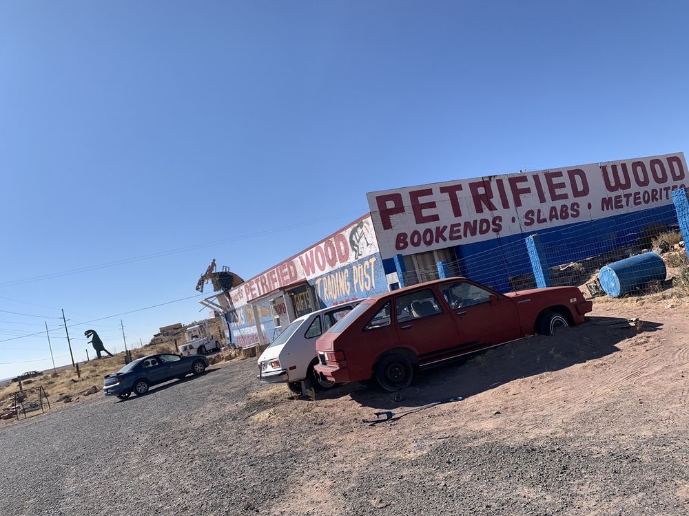 STEWART’S PETRIFIED WOOD SHOP Updated September 2024 58 Photos & 28