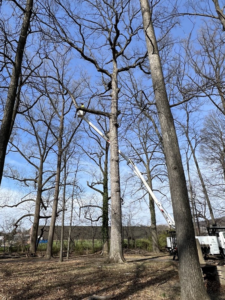 EK Tree Service - tree service in Lancaster, PA