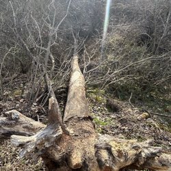 Richard M Nixon County Park