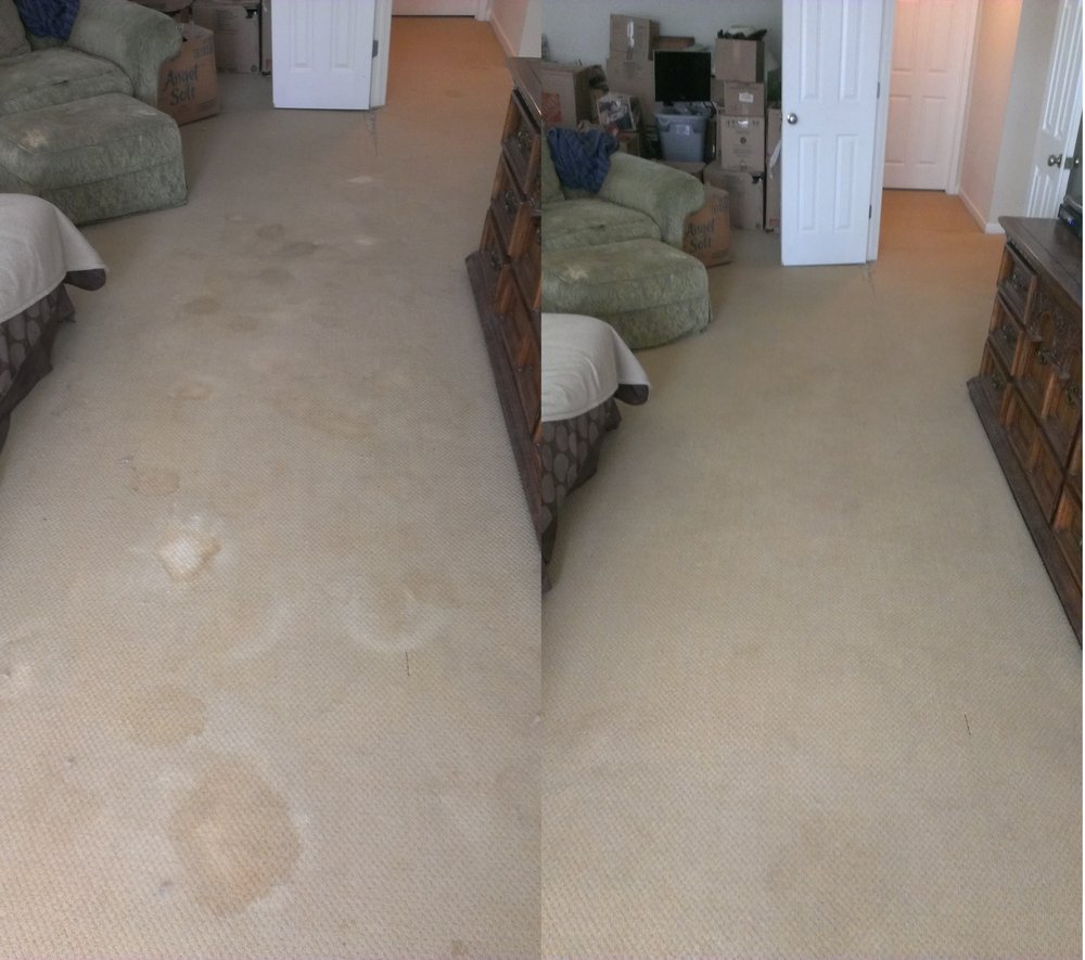 CITRUS CARPET CLEANING 21 Photos Carpet Cleaning 92 E Main St NE