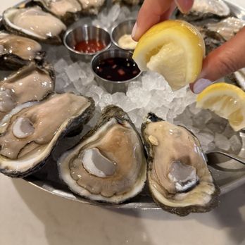 Maria's Oyster Bar - Raw Oysters - Seafood Near Me - New Orleans, Louisiana