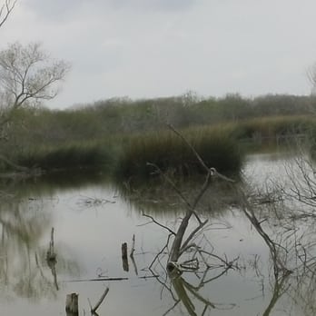 Resaca De La Palma State Park - Parks Near Me - Brownsville, Texas Resaca De La Palma State Park - Parks Near Me - Brownsville, Texas