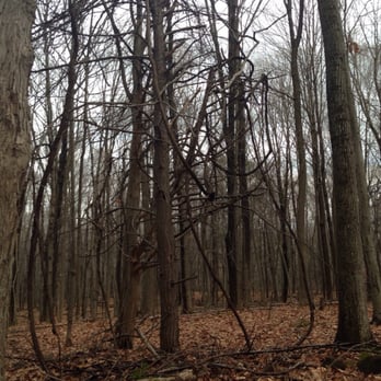 Ragged Mountain - Climbing Near Me - Berlin, Connecticut
