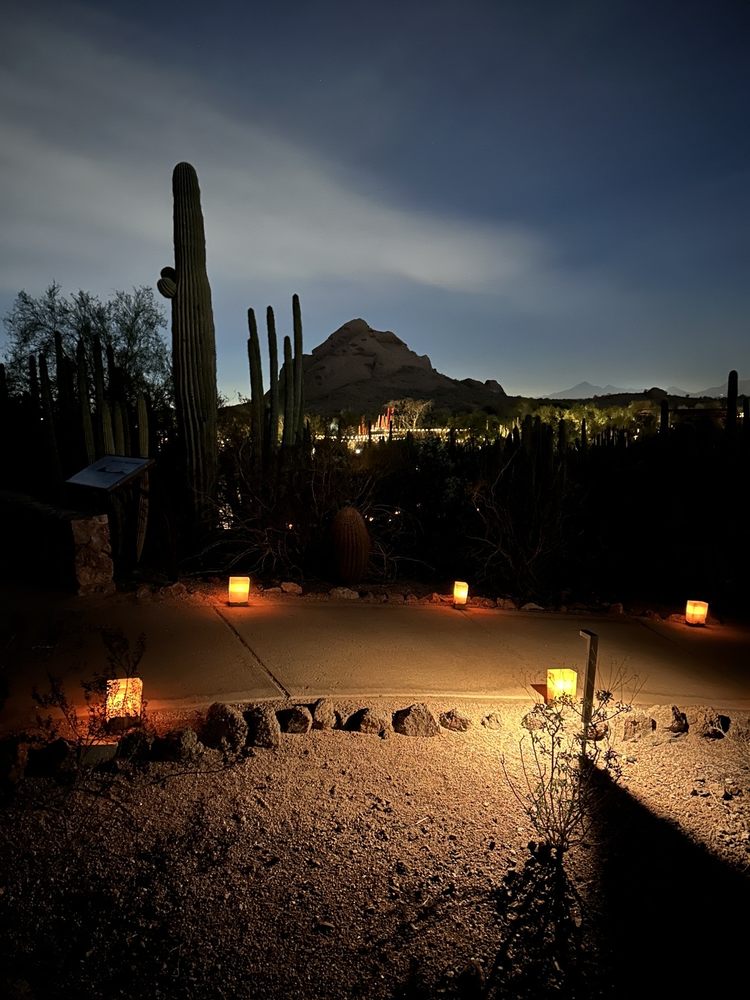 LAS NOCHES DE LAS LUMINARIAS Updated October 2024 204 Photos & 64