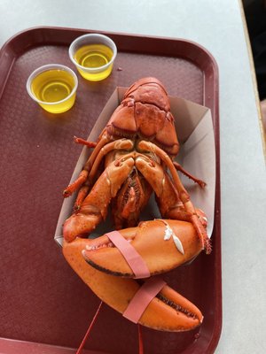 Brown's Lobster Pound by null