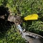Photo of Fast Kill Pest Control