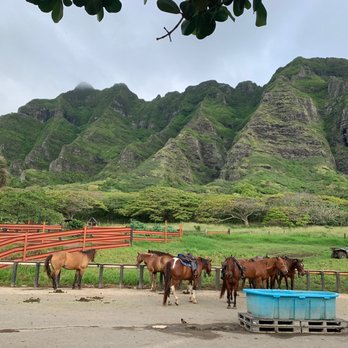 Kualoa Ranch - Tours Near Me - Kaneohe, Hawaii Kualoa Ranch - Tours Near Me - Kaneohe, Hawaii