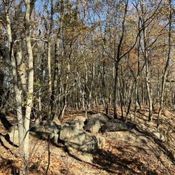 Amico Island State Park
