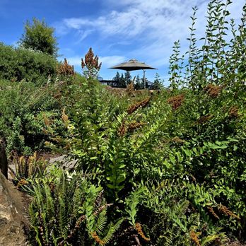 Domaine Willamette - Wineries Near Me - Dayton, Oregon