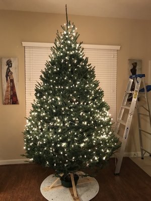 Houston Garden Centers 5345 West Loop S Houston Tx Florists Mapquest