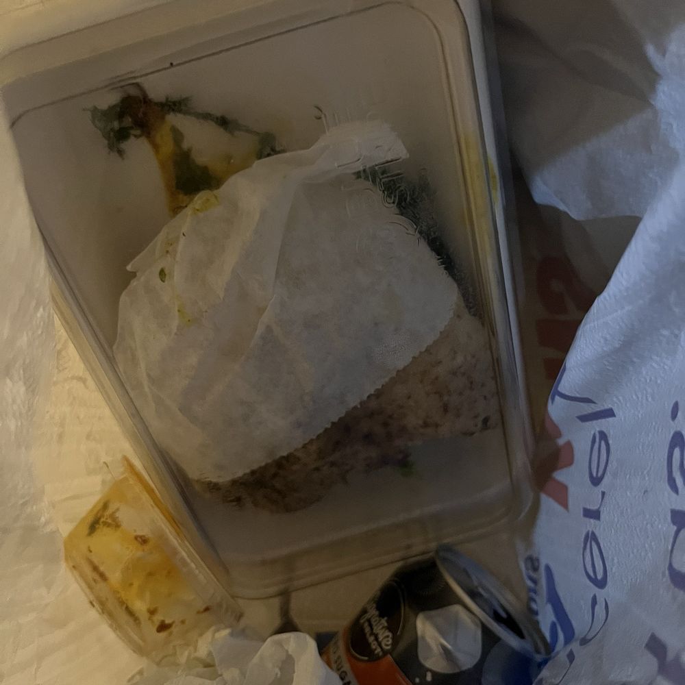 Pita in the trash Pita in the trash