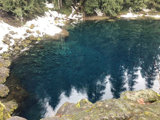 Tamolitch Falls (Blue Pool) by null