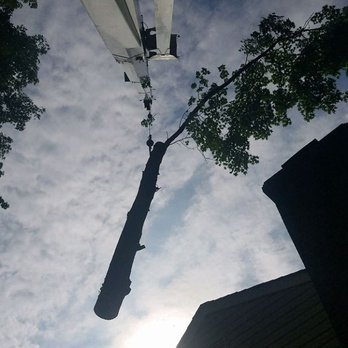 Reliable Tree Service - Tree Services Near Me - Yorktown, Virginia Reliable Tree Service - Tree Services Near Me - Yorktown, Virginia