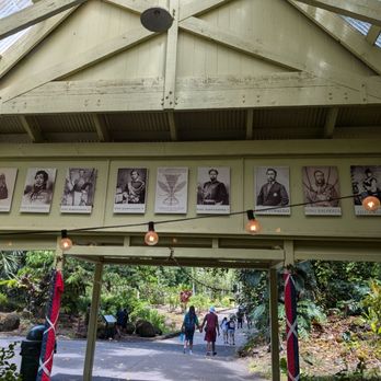 Oahu Nature Tours - Tours Near Me - Honolulu, Hawaii Oahu Nature Tours - Tours Near Me - Honolulu, Hawaii