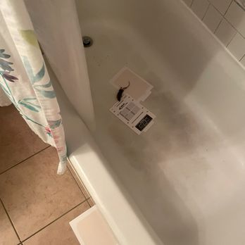 Mac Properties - Chicago - Mouse in tub. Has to catch myself and dispose of. This is the third one caught in just a few weeks. - Apartments Near Me - Chicago, Illinois