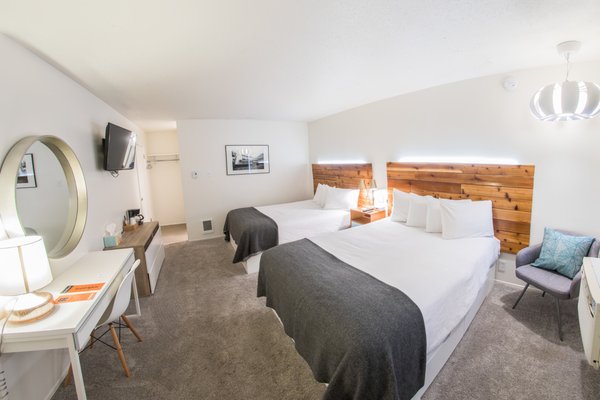 The Monarch Motel by null