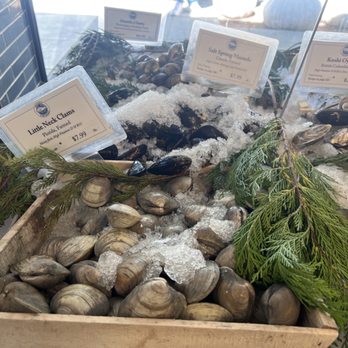 Monterey Fish - 9/9/2023 yummmmmm little neck clams - Seafood Markets Near Me - Berkeley, California Monterey Fish - 9/9/2023 yummmmmm little neck clams - Seafood Markets Near Me - Berkeley, California