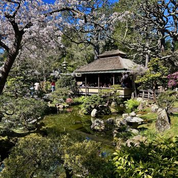 Japanese Tea Garden - The tea house - Tea Rooms Near Me - San Francisco, California