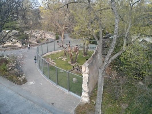 Bikini Berlin by null