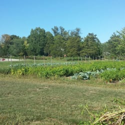 Newville Produce Farm - Fields in Sept.