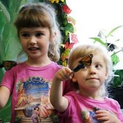 Making butterfly friends