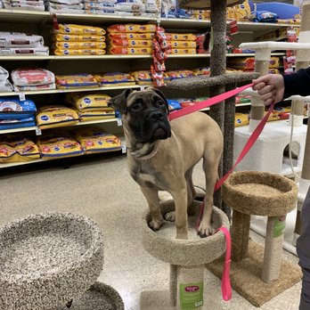 PetSmart - Pet Stores Near Me - Macedonia, Ohio