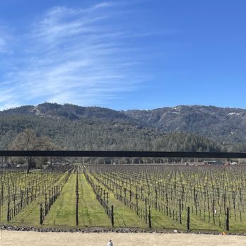 HALL Wines - Wineries Near Me - Saint Helena, California
