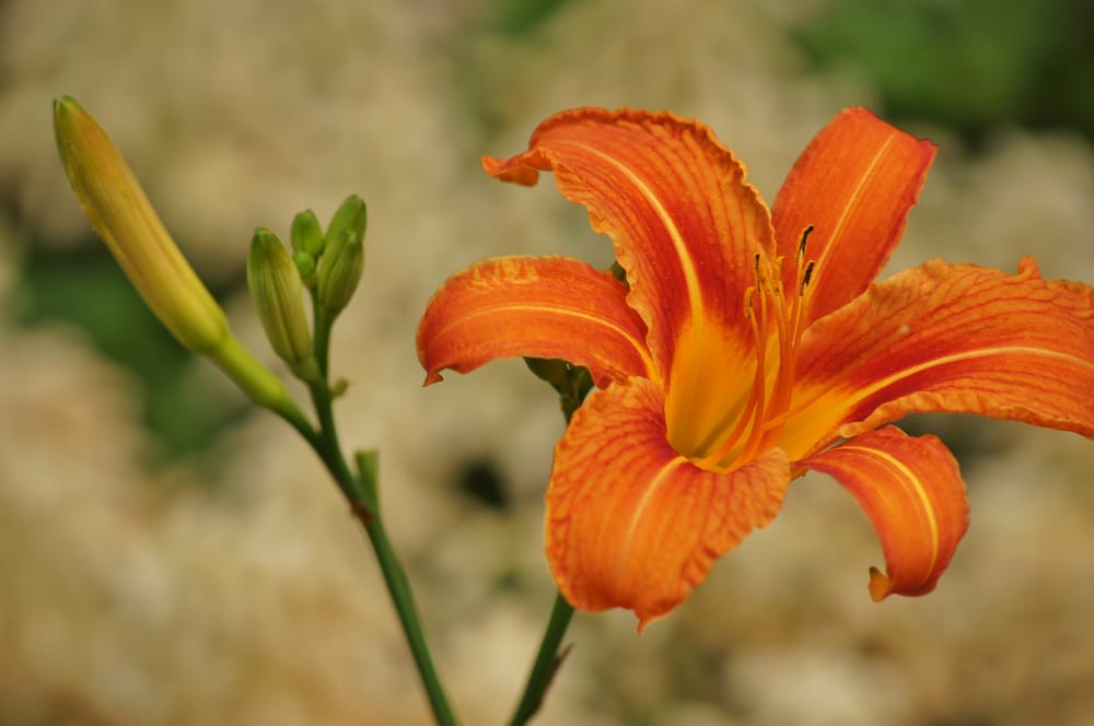 KIRKWOOD GARDENS Updated October 2024 14 Photos 23 Science Center