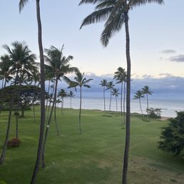 View from room