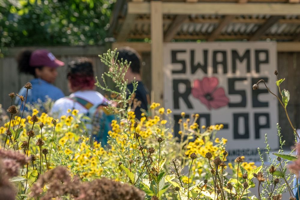 Swamp Rose Co-op