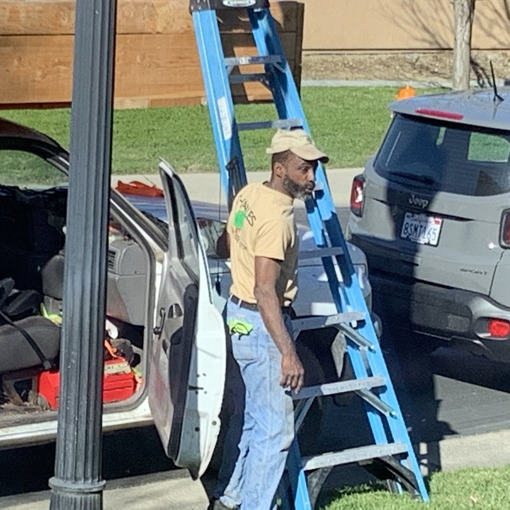 Charles E Williams Tree Service - Tree Services Near Me Charles E Williams Tree Service - Tree Services Near Me