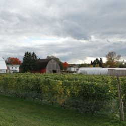 Vignoble Domaine l'Ange-Gardien