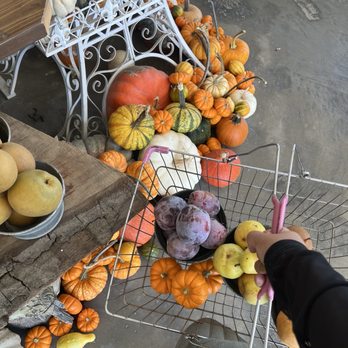 Cipponeri Family Farms - Farmers Market Near Me - Turlock, California Cipponeri Family Farms - Farmers Market Near Me - Turlock, California