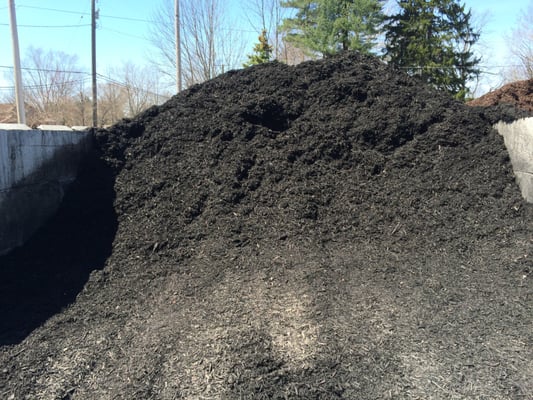 Leonti's Outdoor Supply by null