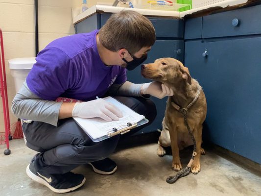 SPCA of Wake County by null