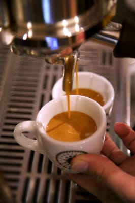 L'Arbre à Café by null