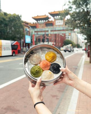 Dumpling District by null