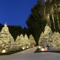 String Lights SF - Christmas trees warp with lights and falling lights design San Francisco CA