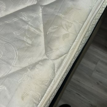 Caribbean Resort & Villas - Both mattresses had these stains (wtf is that??? Pee? Sweat?) - Hotels Near Me - Myrtle Beach, South Carolina Caribbean Resort & Villas - Both mattresses had these stains (wtf is that??? Pee? Sweat?) - Hotels Near Me - Myrtle Beach, South Carolina