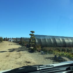 Rusty Oak Nursery - Huge nursery and greenhouse