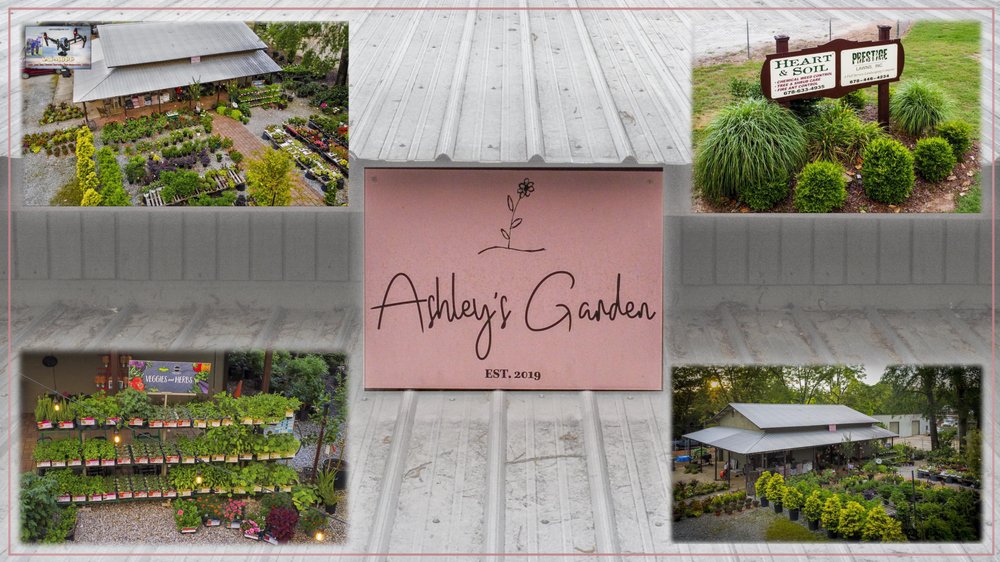 ASHLEY’S GARDEN Updated September 2024 21 Photos 132 St, Senoia,
