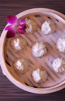 Journey To The Dumpling by null