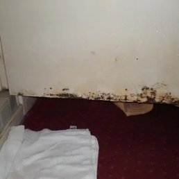 Door between shower and room