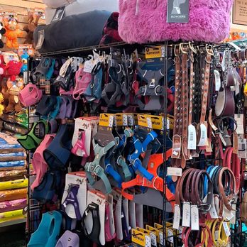 Healthy Tails - Harnesses and collars selection - Pet Stores Near Me - Las Vegas, Nevada Healthy Tails - Harnesses and collars selection - Pet Stores Near Me - Las Vegas, Nevada