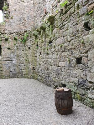 Beaumaris Castle by null