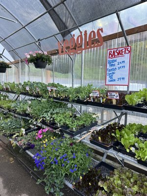 Yakima Fruit Market & Nursery by null