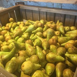 Obstscheune Krietzschwitz Fruchthandel - Obstscheune alles regional